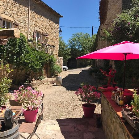 Domaine D'Alcapies Bed & Breakfast Saint-Jean-d'Alcapies ภายนอก รูปภาพ