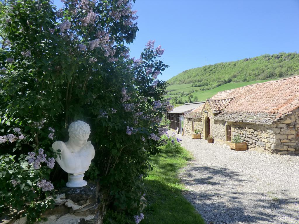Domaine D'Alcapies Bed & Breakfast Saint-Jean-d'Alcapies ภายนอก รูปภาพ
