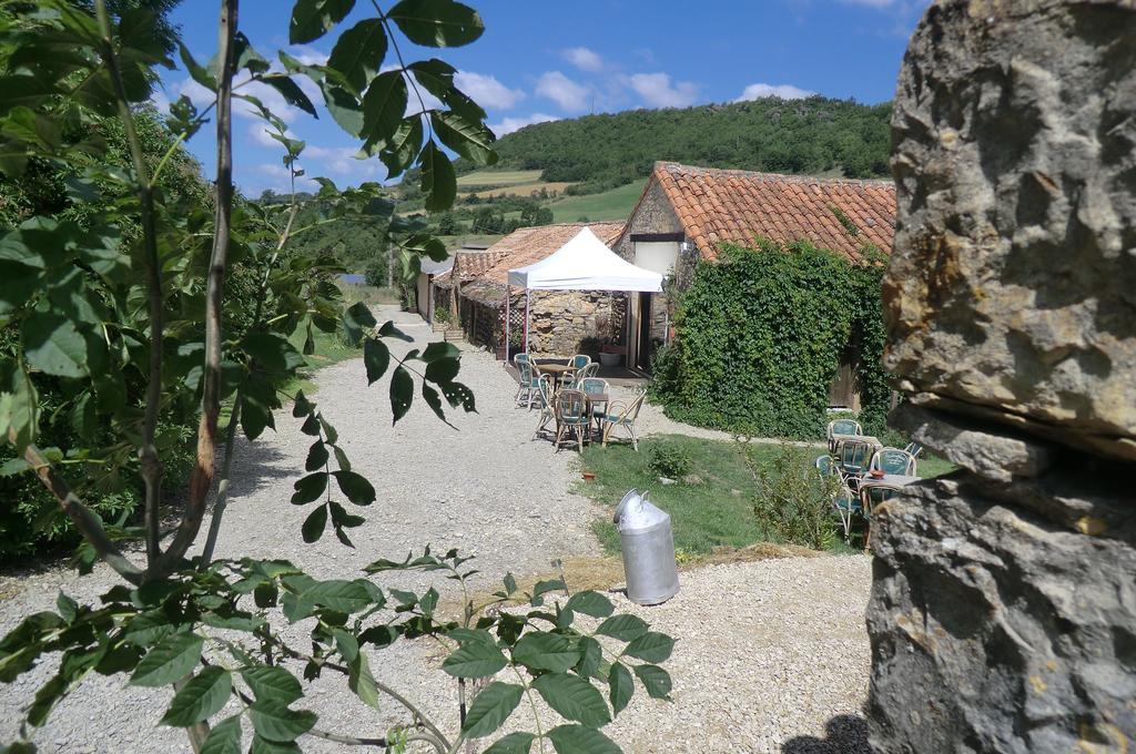 Domaine D'Alcapies Bed & Breakfast Saint-Jean-d'Alcapies ภายนอก รูปภาพ