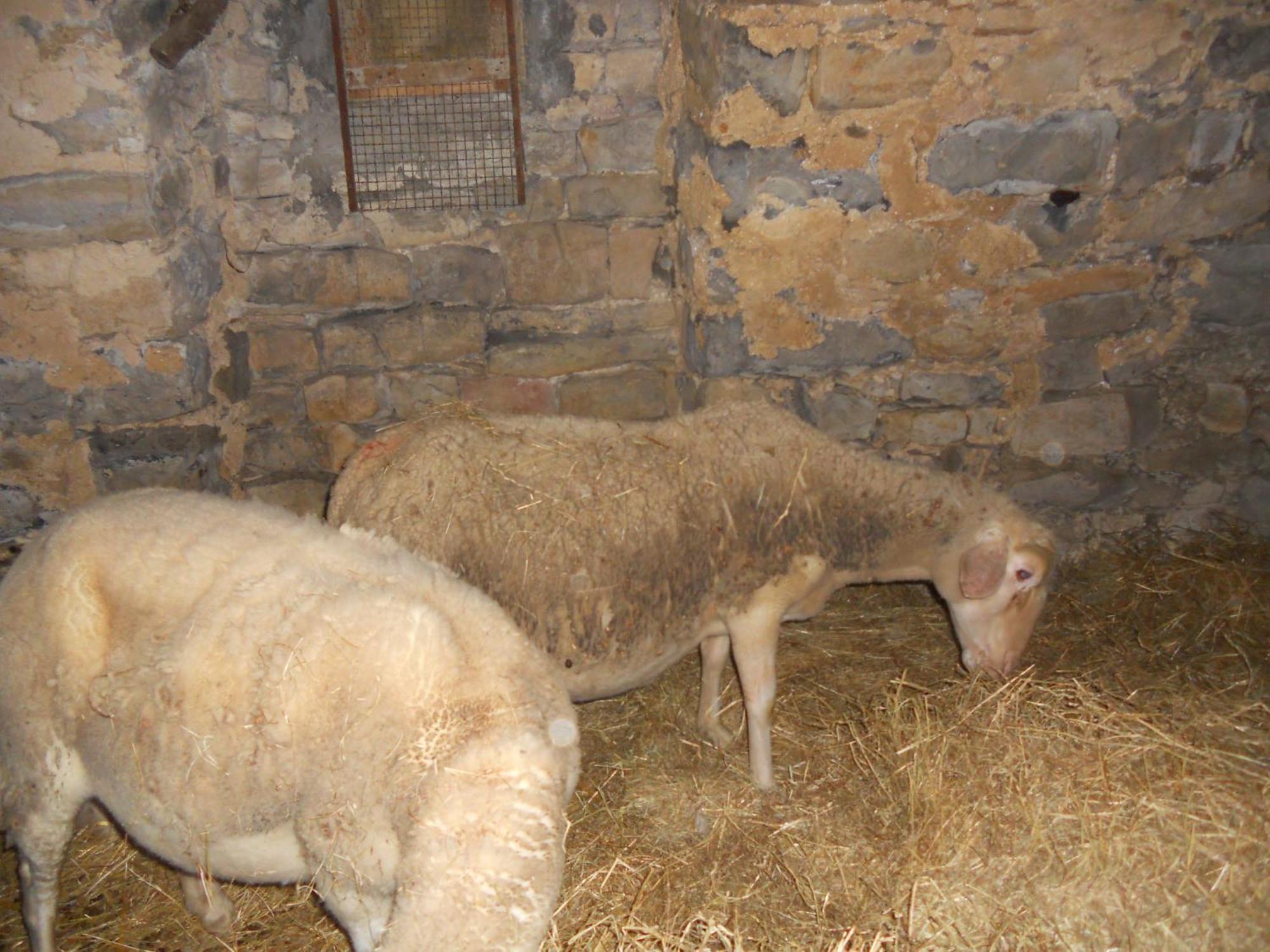 Domaine D'Alcapies Bed & Breakfast Saint-Jean-d'Alcapies ภายนอก รูปภาพ